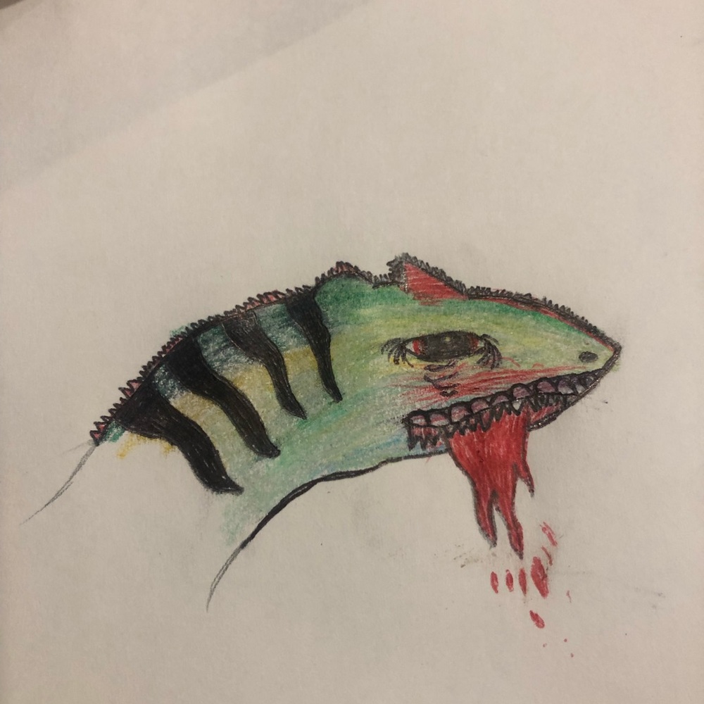 Meet your Posher, Steph